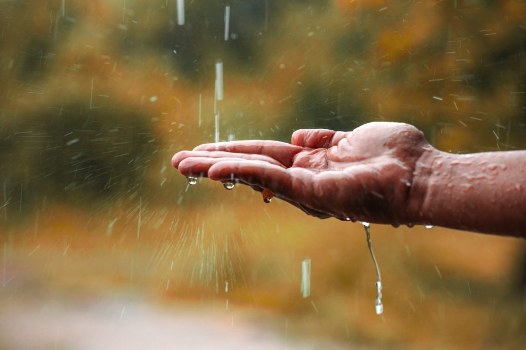 récupérer eau de pluie naturelle